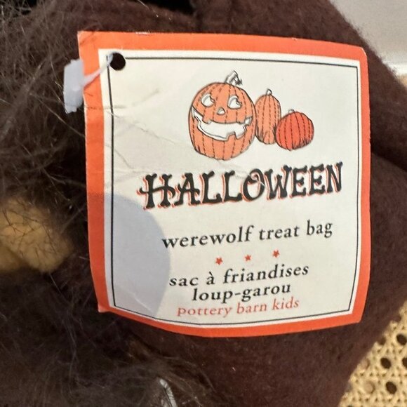 NWT Pottery Barn Werewolf trick or treat bucket - Picture 6 of 9